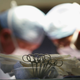Illustration for article titled Organ Transplants Between HIV-Positive Patients Begin At Johns Hopkins
